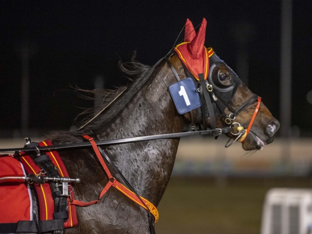 For Participants Harness Racing Victoria