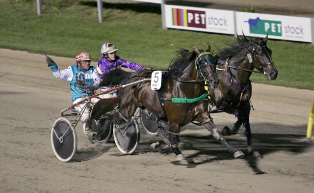 The Little Master Reflects On Epic 2008 Ballarat Pacing Cup Harness Racing Victoria